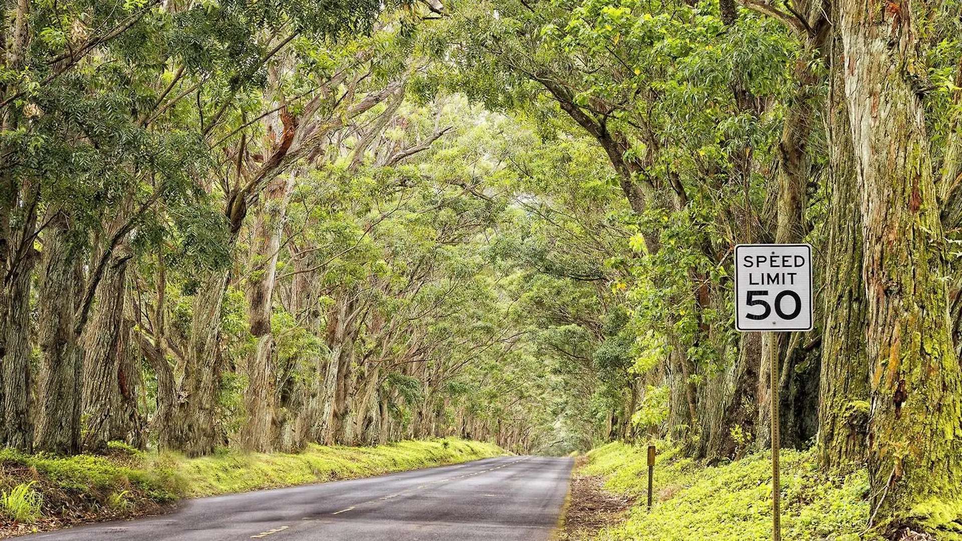 Vila Kolepa Kai Koloa USA